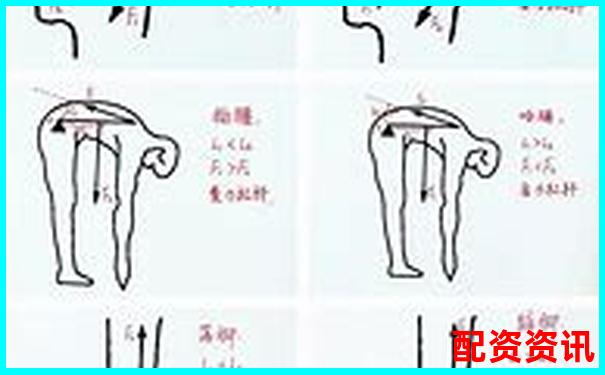 初二物理杠桿原理輕松學(xué) 30分鐘掌握關(guān)鍵知識(shí)點(diǎn)-3倍杠桿爆倉怎么算
