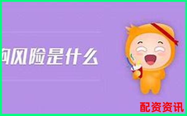 高杠桿率潛藏的風(fēng)險與應(yīng)對策略