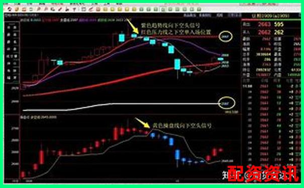 雞蛋期貨杠桿倍數(shù)究竟能有多高 30倍真的靠譜嗎-正規(guī)期貨配資十大平臺
