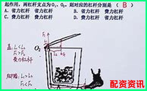八年級(jí)物理杠桿知識(shí)點(diǎn)全攻略與解題技巧歸納-打開(kāi)澳門(mén)網(wǎng)站免費(fèi)資