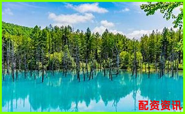國內(nèi)配資APP排行榜Top10盤點，實測評分出爐