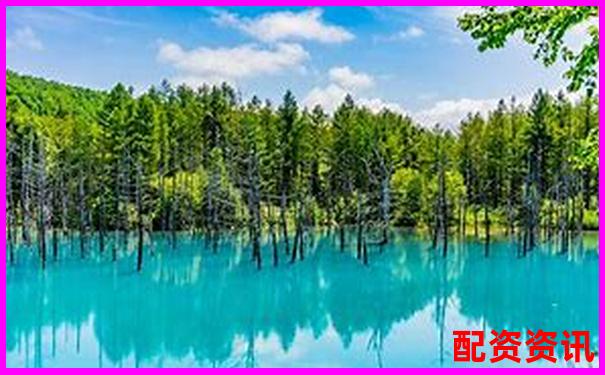 國內(nèi)十大配資平臺(tái)排行榜評(píng)分表（2025最新版）-湯臣倍健股票最新消息