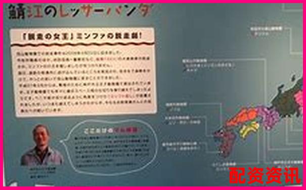 全國(guó)股票配資服務(wù)滿意度排行榜-北京股票配資公司招聘信息